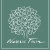 Nobilis Tilia (19)